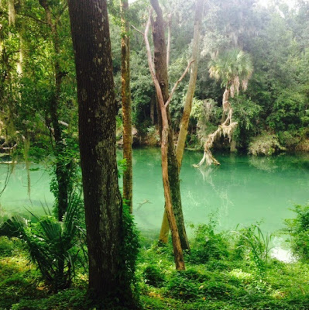 Meet your Posher, Edryr